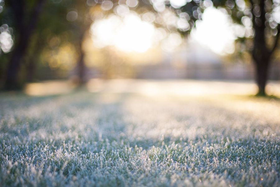 What Happens to Your Lawn During Cold Weather?