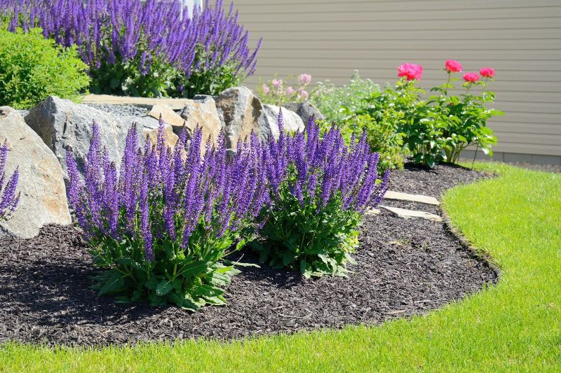 Boost Your Property Value: Landscaping and Design Strategies That Work