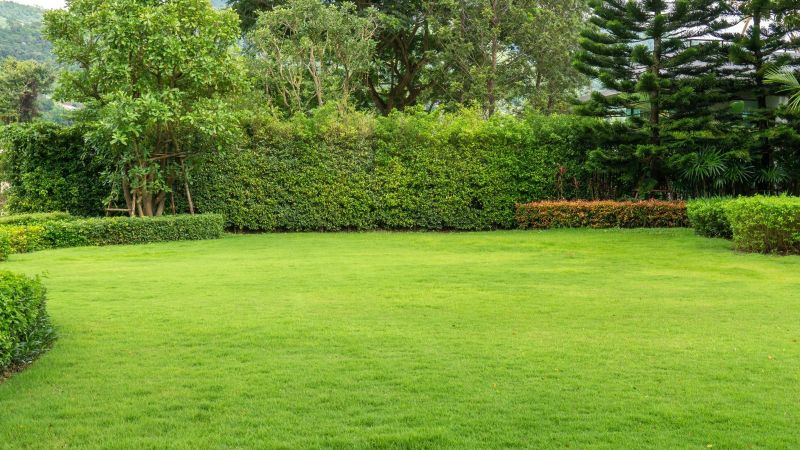 Lawn Care Delivered with Care: Your Green Oasis Awaits