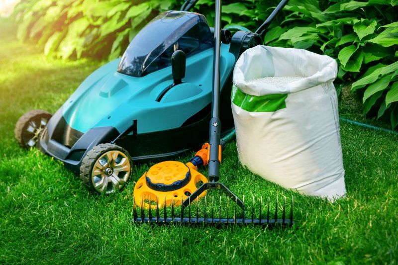 The Benefits of Professional Lawn Care Services