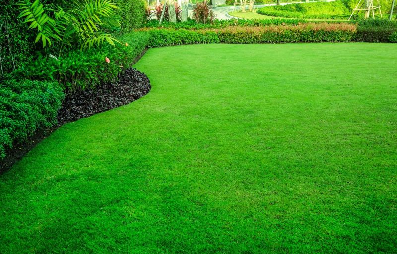 Designing a Lawn: The Importance and Benefits.