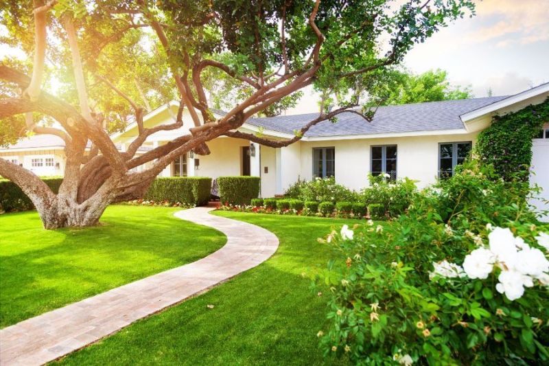 Tree's value on your landscape
