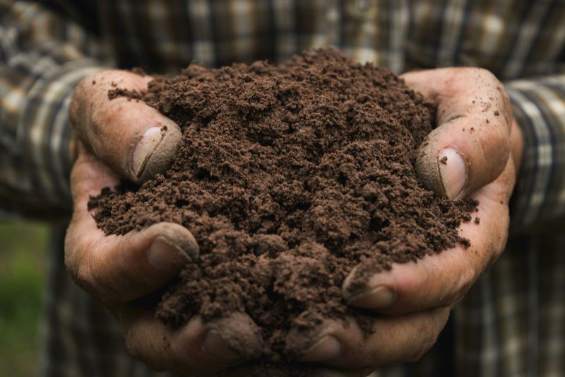 Do you have a healthy soil?