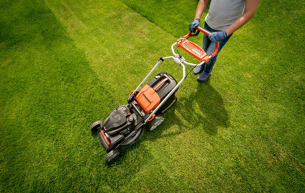 Tips On How Short You Should Cut Your Grass