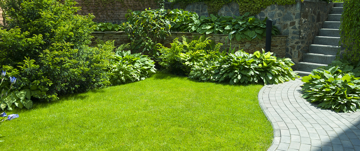 Reasons why you need to hire a landscaper